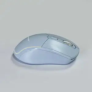 2.4G &BT Wireless Optical Mouse 6D Portable Rechargeable Office Mouse with OEM Design for Brands, MW-056RA